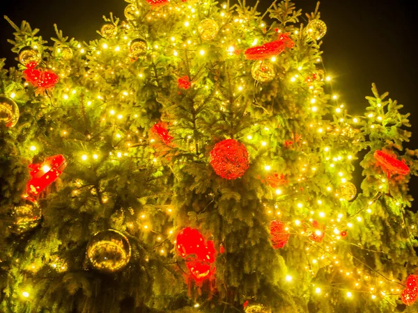 Arbre de Noël sur une place publique — Photo