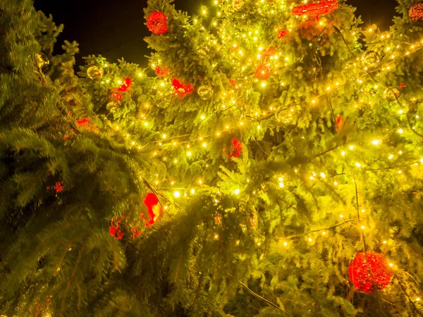 Weihnachtsbaum auf dem Stadtplatz — Stockfoto