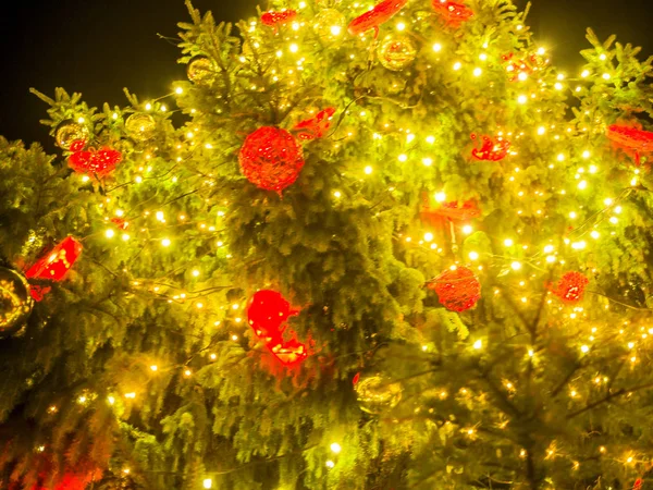 Arbre de Noël sur une place publique — Photo