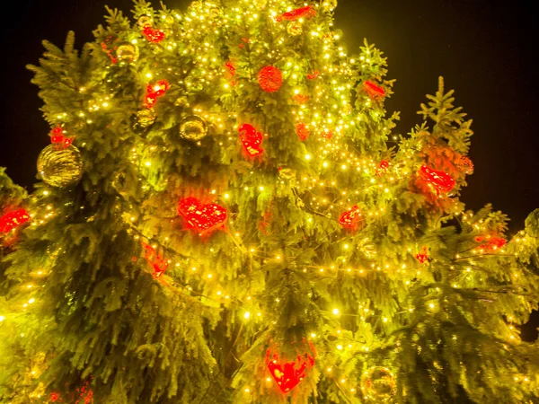 Arbre de Noël sur une place publique — Photo