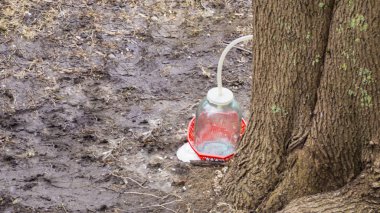Soyut sağlam altın kağıt buruşuk