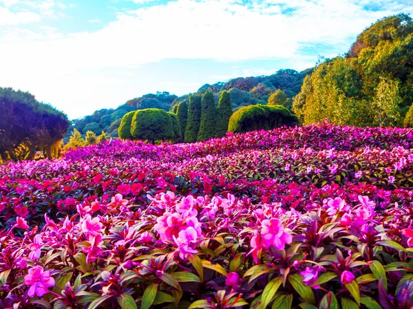 Doi Inthanon, Chom Thong, Chiang — Stok fotoğraf