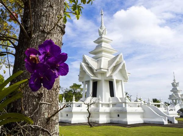 吴荣坤 Wat Rong Khun 白色寺庙 丁香花是在焦点 — 图库照片