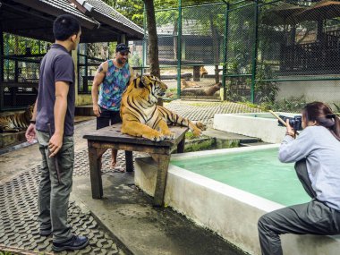 CHIANG MAI, THAILAND - Kasım