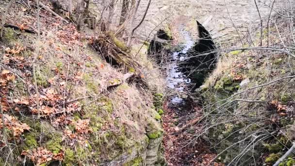 Wasserfall auf dem Kalksteinfelsen Ontika — Stockvideo