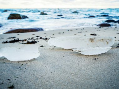 Tallin Tabasalu, Estonya, Baltık, Beach meadows yakınındaki Baltık kıyı şeridi