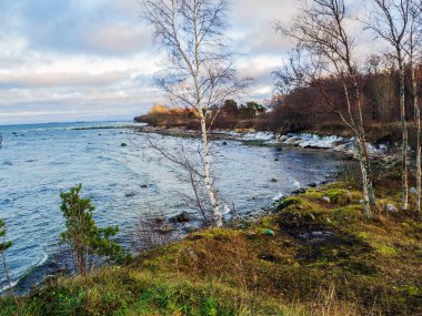 Parçalı bulutlu gökyüzü altında Baltık kıyı şeridi