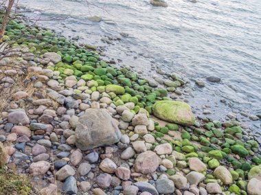 Parçalı bulutlu gökyüzü altında Baltık kıyı şeridi