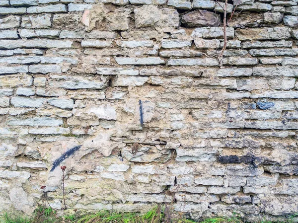 Tuğla duvar dokusu — Stok fotoğraf