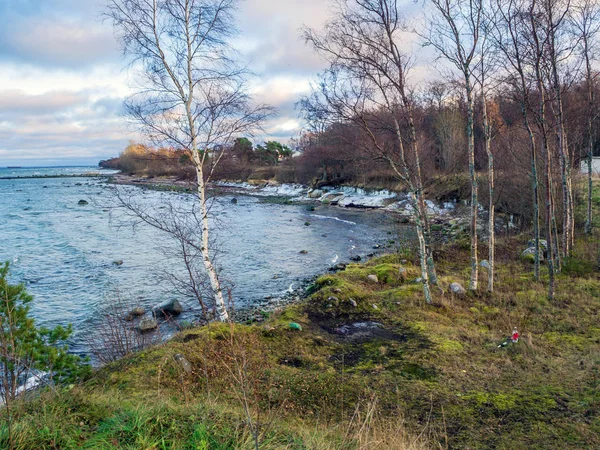 Baltische kust onder een gedeeltelijk bewolkte hemel — Stockfoto