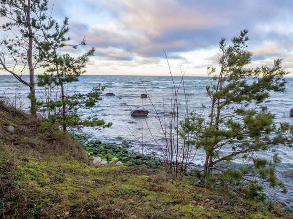 Baltische kust onder een gedeeltelijk bewolkte hemel — Stockfoto