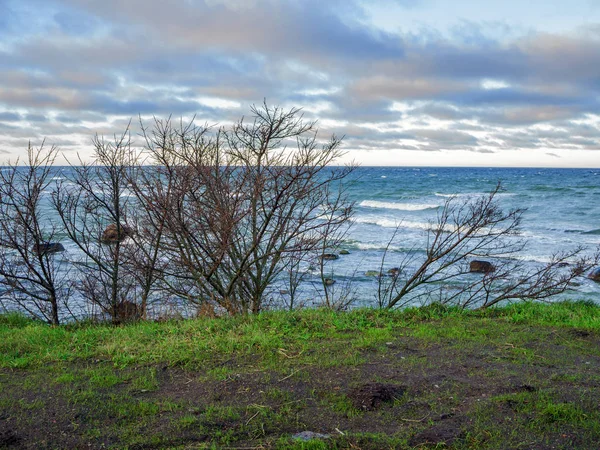 Baltiska kusten under en delvis molnig himmel — Stockfoto