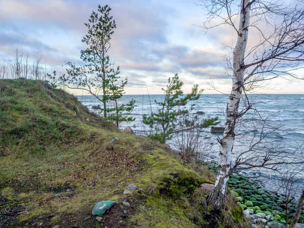 Baltische kust onder een gedeeltelijk bewolkte hemel — Stockfoto