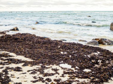 Parçalı bulutlu gökyüzü altında Baltık kıyı şeridi