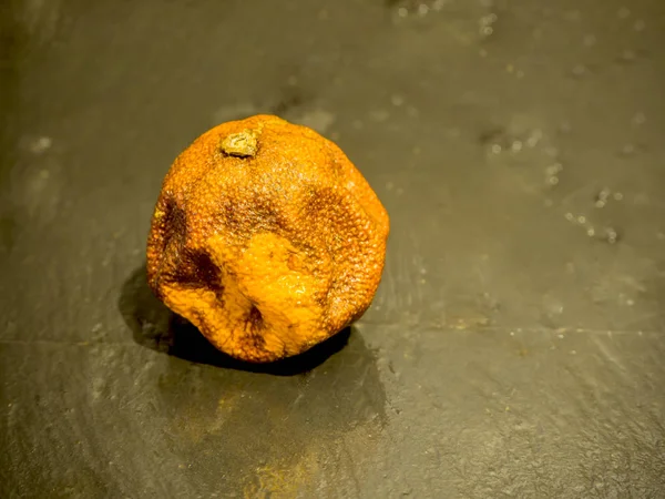 Mandarina podre ob pedra preta — Fotografia de Stock