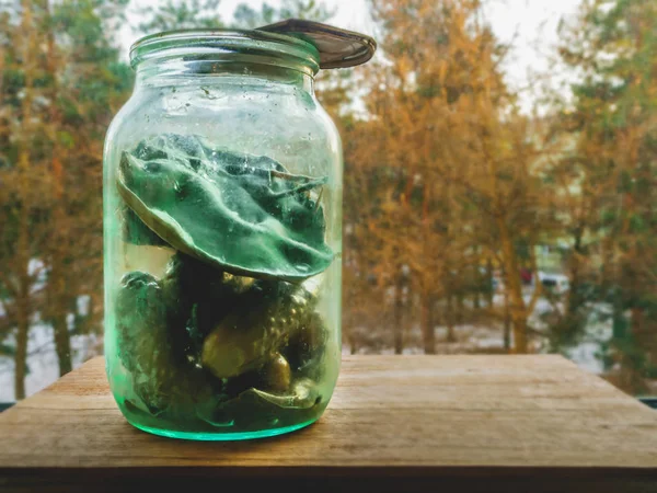 有霉菌的腌制黄瓜罐 — 图库照片
