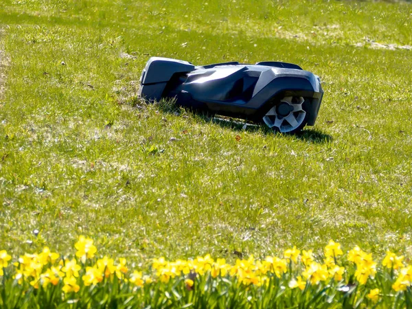 Robotic lawn mower — Stock Photo, Image