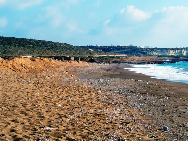 Kumsaldaki deniz kaplumbağaları. Kıbrıs — Stok fotoğraf