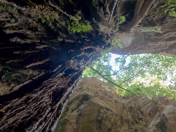 Avakas Gorge en Chipre — Foto de Stock