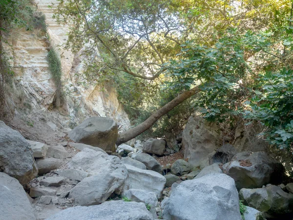 キプロスの Avakas 渓谷 — ストック写真