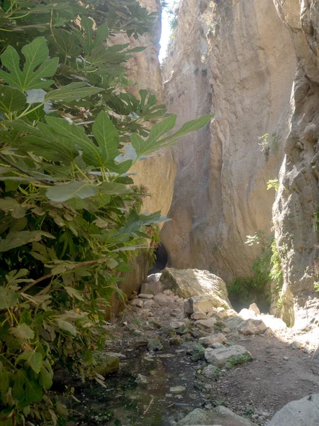 Avakas Gorge in Cyprus — Stock Photo, Image