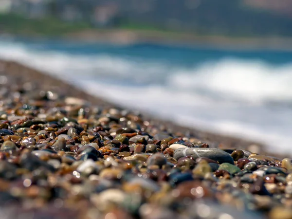 Mintázat kék tengeri kövekkel — Stock Fotó