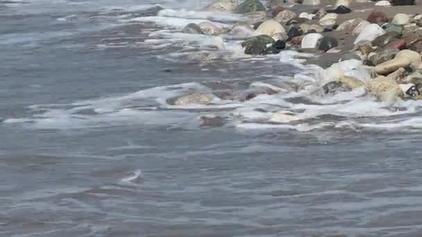 Olas marinas, playa rocosa — Vídeos de Stock