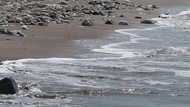 Vagues de mer, plage de rochers — Video