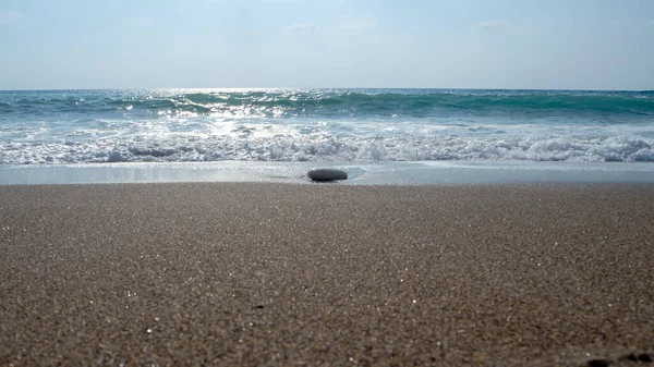 Tartarugas marinhas na praia. Chipre — Fotografia de Stock