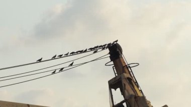 Kıbrıs 'taki eski gemi