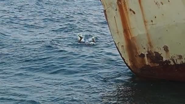 Antiguo barco en Chipre — Vídeo de stock