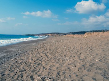 Kumsaldaki deniz kaplumbağaları. Kıbrıs