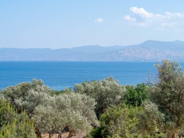 Kıbrıs 'ta İnanılmaz Deniz Burnu