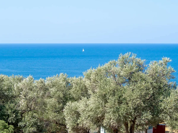 Paysage marin incroyable à Chypre — Photo