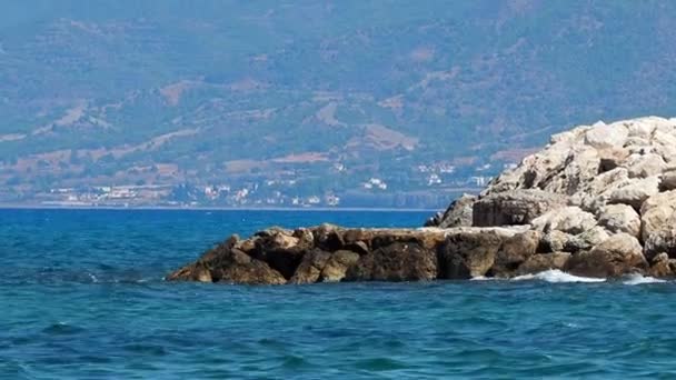 Onde marine, spiaggia rocciosa — Video Stock