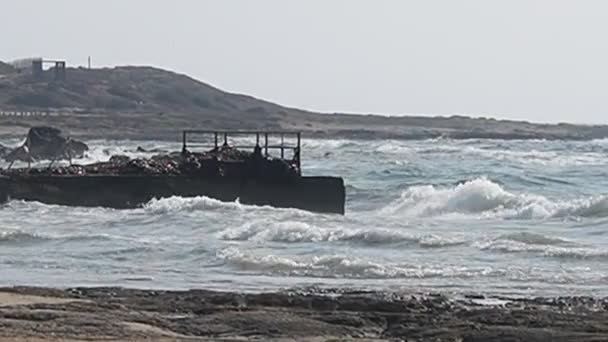 Onde che si infrangono su una spiaggia a Cipro — Video Stock