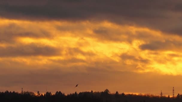 Nubes parciales. Puesta de sol — Vídeos de Stock