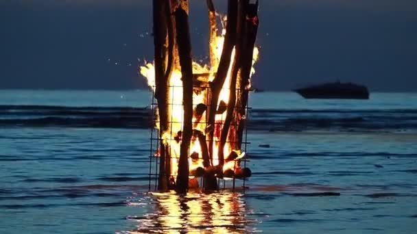 Grande fogueira dos Logs — Vídeo de Stock