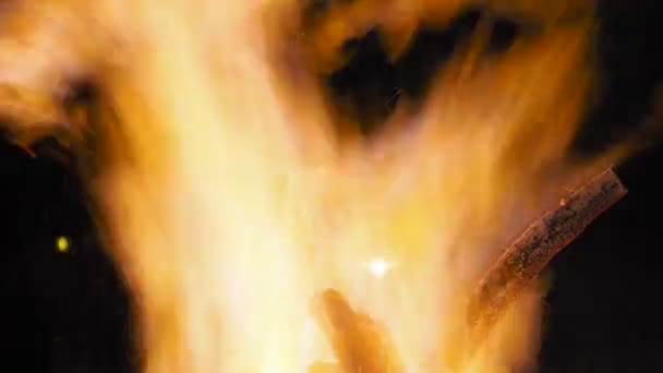 原木的大篝火 — 图库视频影像