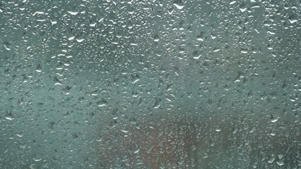 Rain drops on window — Stock Video