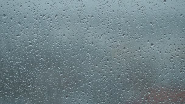 Gotas de lluvia en ventana — Vídeo de stock