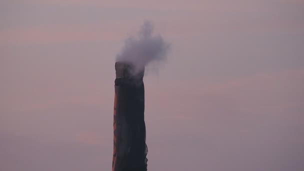 Dym z rury — Wideo stockowe