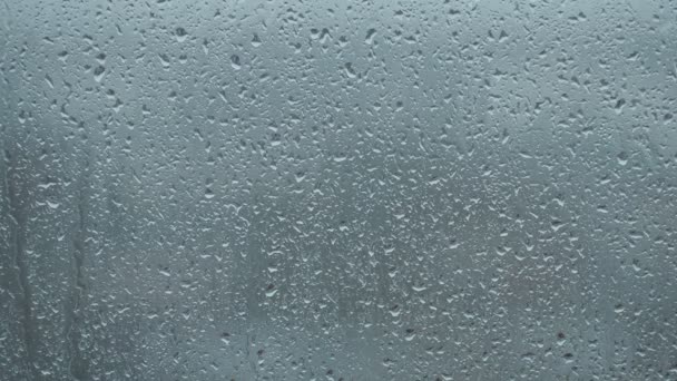 Gotas de lluvia en ventana — Vídeo de stock