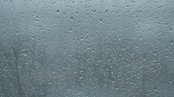 Kapky deště na okno — Stock video