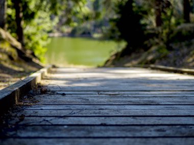 Seçici odaklanma. Arkasında yeşil göl olan boş ahşap iskele. 