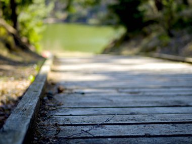 Seçici odaklanma. Arkasında yeşil göl olan boş ahşap iskele. 