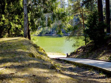 Seçici odaklanma. Arkasında yeşil göl olan boş ahşap iskele. 