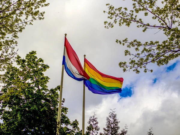 LGBT and Holland flags on poles blow in the wind. Symbol of tolerant. Trees and blue cloudy sky on the background.