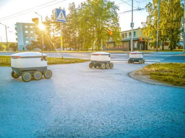 Sokaktaki bazı teslimat robotları. Tallinn City 'deki Estonyalı siber kuryeler. Güneşli yaz günü. 