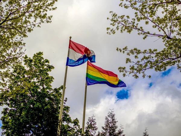 LGBT and Holland flags on poles blow in the wind. Symbol of tolerant. Trees and blue cloudy sky on the background.
